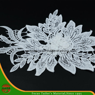 2017new Design Embroidery Lace on Organza (HJKL-1705)