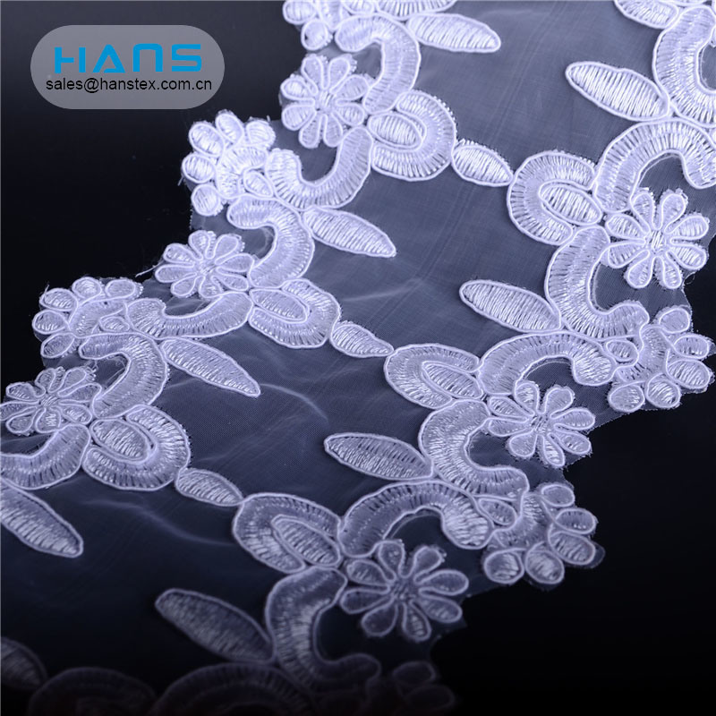 Hans Direct de China Factory Diseño profesional Tela de encaje de tul bordada